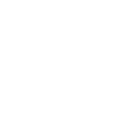 usługi celne
